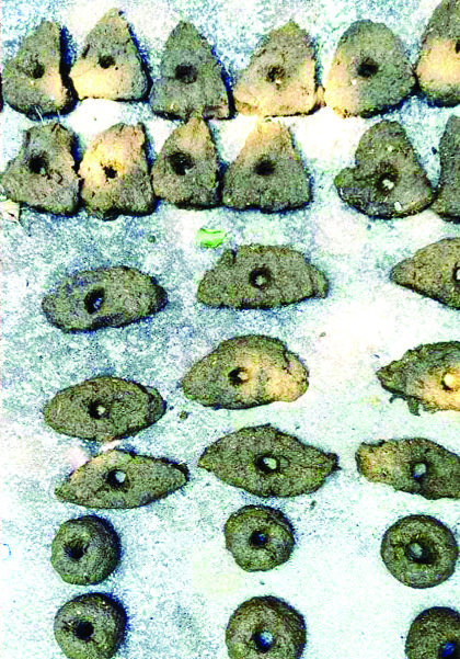 होळीनिमित्त ‘शिंगोट्या’ बनविण्याची परंपरा हद्दपार