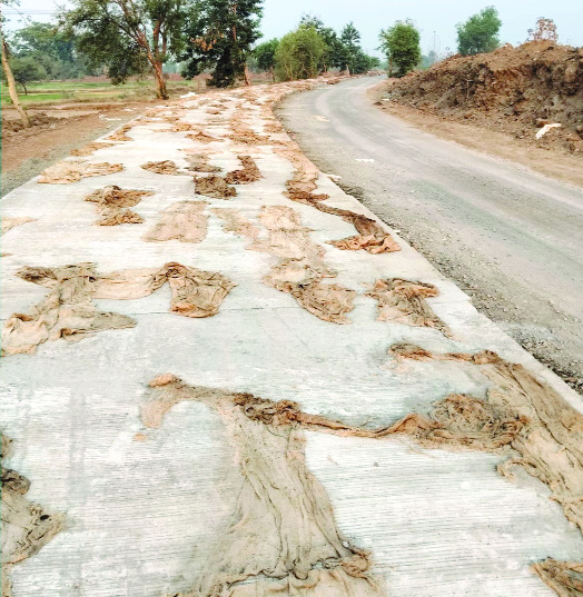 सिमेंट रस्त्यावर क्यूरींगचा अभाव  गुणवंत्तेवर प्रश्नचिन्ह, धुळीने गावकरी हैराण