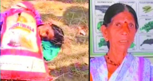 वाघाच्या हल्ल्यात  वृद्ध महिला ठार
