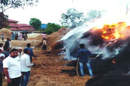 शॉर्ट सर्किटमुळे तणसाचे ढिगाºयाला आग