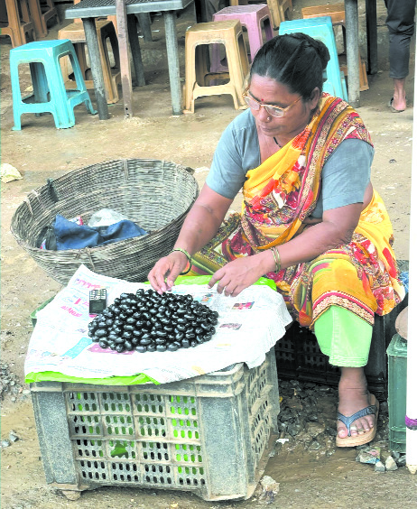 चवदार अन् आरोग्यदायी… जांभळांची बाजारात ‘एन्ट्री’