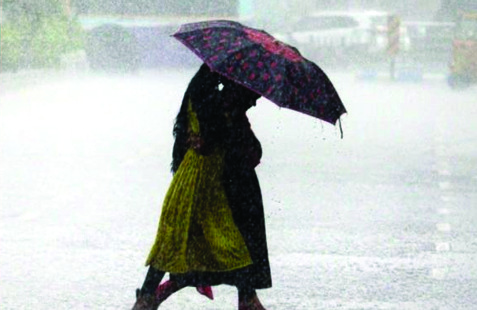 मान्सूनने विदर्भात घेतली धडाकेबाज एंट्री! आता किती दिवस मुसळधार पाऊस बरसणार?